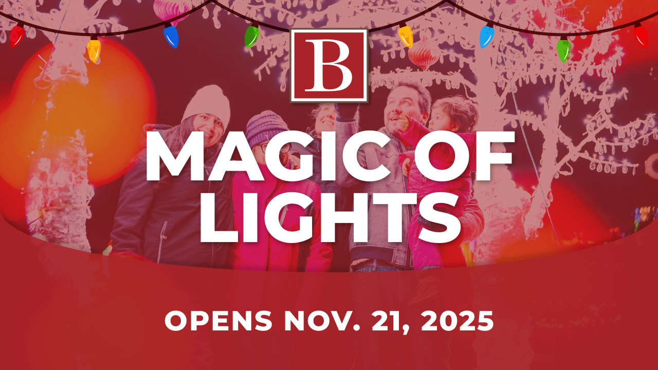 Magic of Lights – The City of Brandon