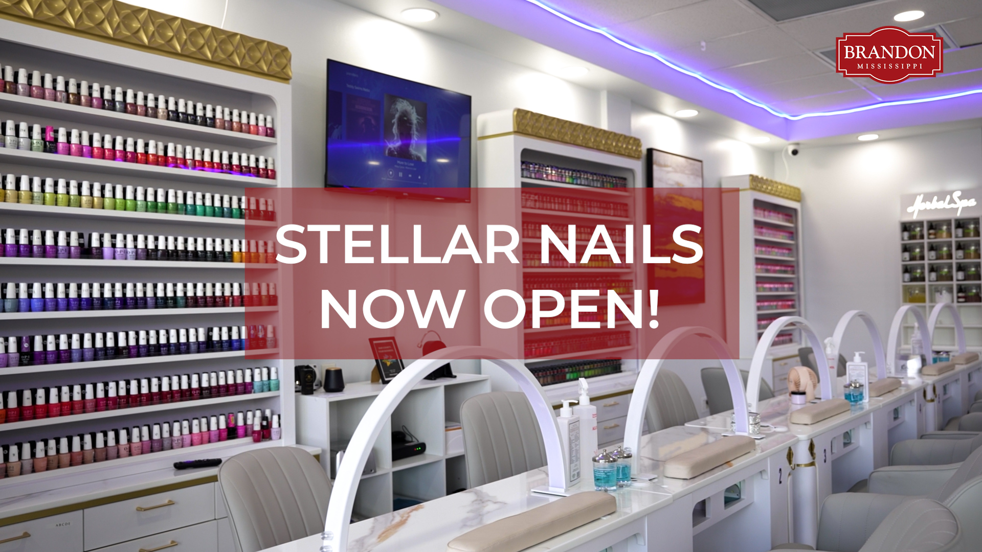 Steller Nails